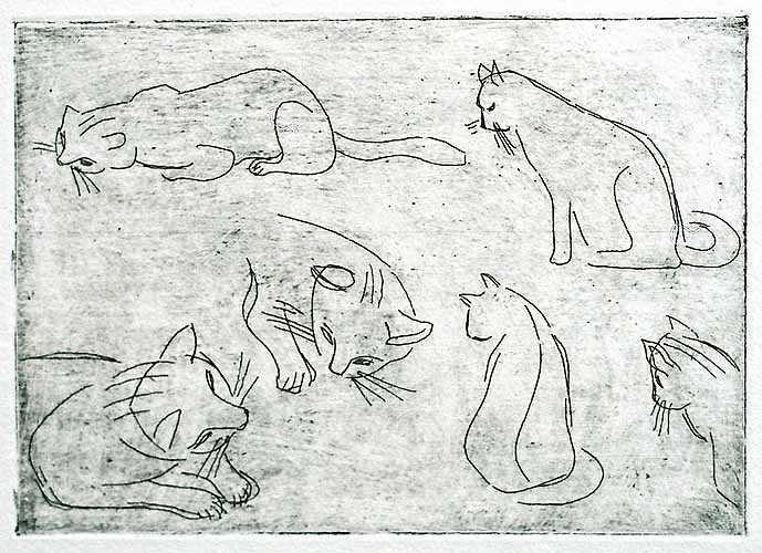 Katzenstudie